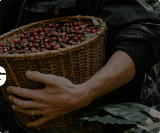 A Guide to Specialty Coffee