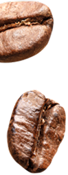 Blog Effect Image 5